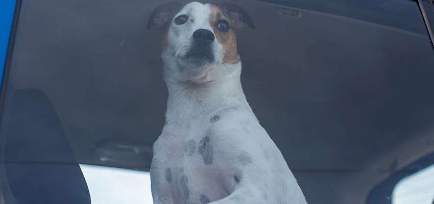 Car Lockout Solutions in Orinda, California